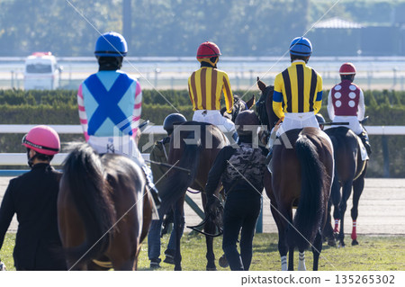 賽馬場景象:馬匹進入主賽馬場,京都府京都市 賽馬場景象:馬匹進入主賽馬場,京都府京都市 135265302