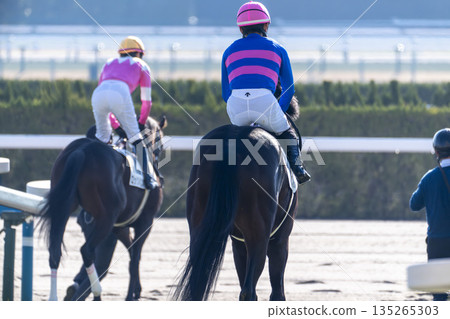 賽馬場景象：馬匹進入主賽馬場，京都府京都市 135265303