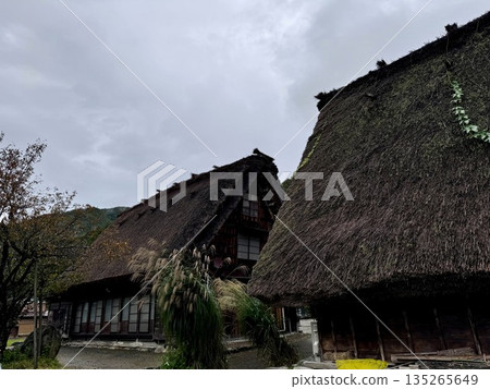 Rain Shirakawago Rain Shirakawago 135265649