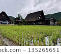 Rain Shirakawago 135265651