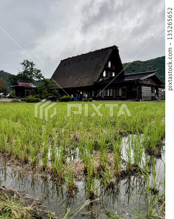Rain Shirakawago 135265652