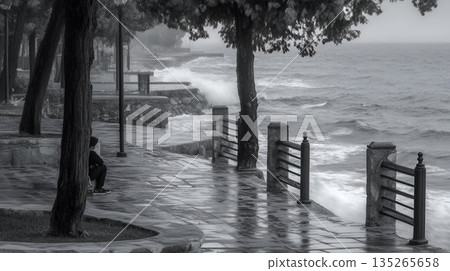 Black and White Coastal Walkway with Waves Crashing Against the Shore 135265658