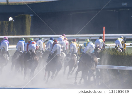 賽馬場景色：駿馬奔跑，京都府京都市 135265689