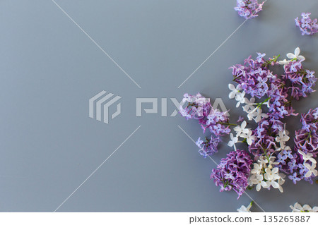 Lilac composition top view on gray background with empty space 135265887