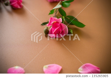 Pink garden roses on a brown background Pink garden roses on a brown background 135265905