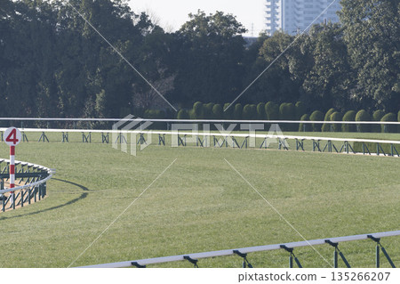 Scenery from the racecourse, 4th corner, Kyoto City, Kyoto Prefecture 135266207