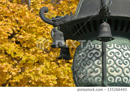 Lanterns and yellow ginkgo leaves in the garden of Honkakuji Temple in Kamakura Lanterns and yellow ginkgo leaves in the garden of Honkakuji Temple in Kamakura 135266493