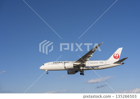 傍晚的大阪機場（伊丹機場）。一架飛機正在降落。大阪府豐中市。 135266503