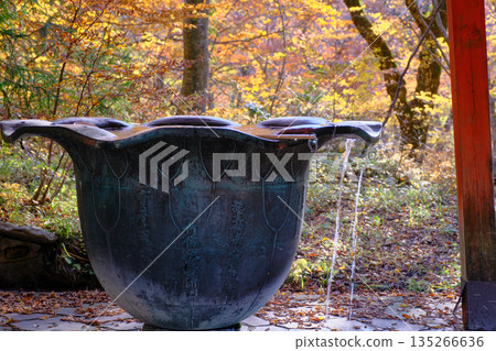 鳥取縣:通往大千寺的蓮花形水池訴說著它的歷史 鳥取縣:通往大千寺的蓮花形水池訴說著它的歷史 135266636