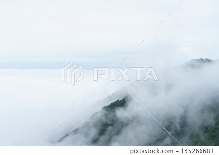 雲霧繚繞的山巒 135266681
