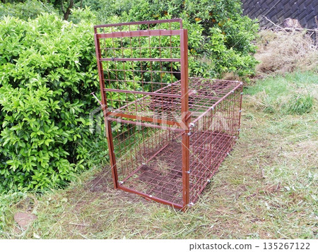 箱式陷阱 135267122