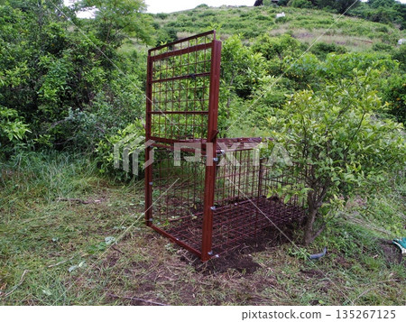 箱式陷阱 135267125