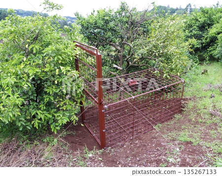 箱式陷阱 135267133