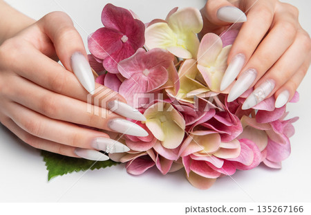 Woman's hands holding pink hydrangea with elegant manicure Woman's hands holding pink hydrangea with elegant manicure 135267166