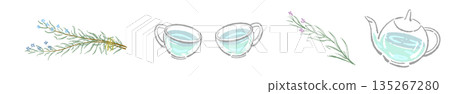 Hand-drawn illustration of a glass herbal tea set (rosemary teapot and cups) Hand-drawn illustration of a glass herbal tea set (rosemary teapot and cups) 135267280