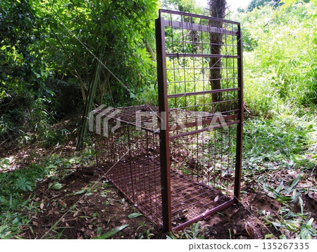 箱式捕鼠器（單開口型） 135267335