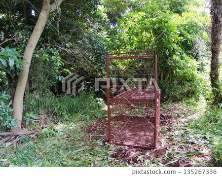 Box trap (single-opening type) Box trap (single-opening type) 135267336