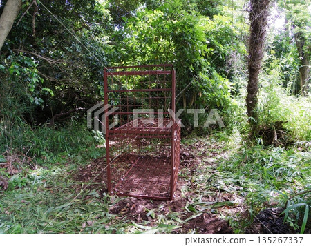 Box trap (single-opening type) 135267337