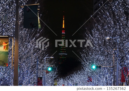 聖誕樹顏色的東京鐵塔和櫸坂燈光秀，12月，港區2334 135267362
