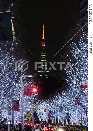 12月，東京鐵塔和櫸坂的聖誕樹色燈光秀，港區2340 135267368