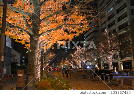 Yokohama Japan Boulevard Illuminations 2025 135267423