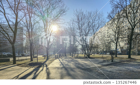 A park with trees and a bench A park with trees and a bench 135267446