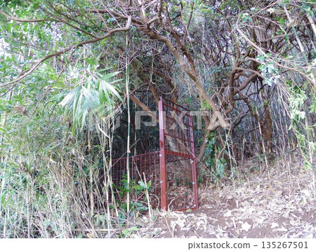 Box trap 135267501