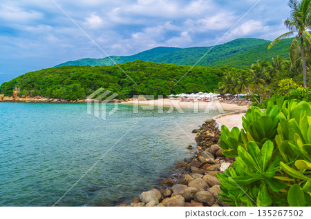 landscape with a sandy beach with sun umbrellas and sun beds under palm trees in bay by sea on a cloudy summer day at resort on a paradise island landscape with a sandy beach with sun umbrellas and sun beds under palm trees in bay by sea on a cloudy summer day at resort on a paradise island 135267502