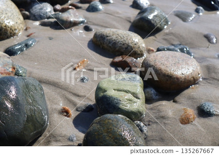 海灘石頭 135267667