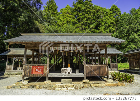 土佐神社 西五善社 高知市 高知縣 土佐神社 西五善社 高知市 高知縣 135267775