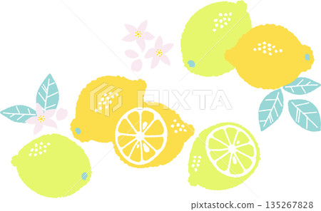 A simple and pop retro lemon illustration 135267828