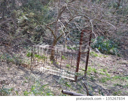 盒式捕蟲器（麩皮包裹） 135267834