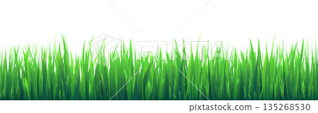 Meadow silhouette with green grass, plants on plain. Panoramic summer lawn landscape with herbs, various weeds. Herbal border, frame element. Black horizontal banners. Vector illustration 135268530