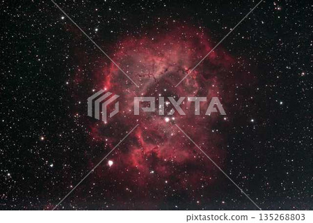 Rose Nebula 135268803