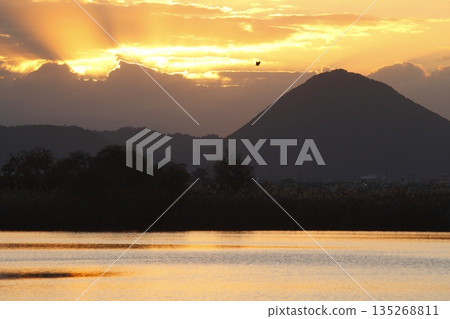 從紀濱內湖眺望日出時的三上山 135268811