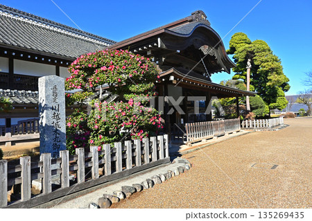川越城本丸宮（埼玉縣川越市） 135269435