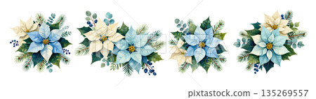 Christmas flower poinsettia with holly and pine tree branch 135269557