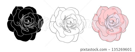Camellia flowers head vector set. Camellia and rose flower collection for spring with various colors for spring season isolated in white background. Vector illustration. Camellia flowers head vector set. Camellia and rose flower collection for spring with various colors for spring season isolated in white background. Vector illustration. 135269601