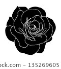 Camellia flowers silhouette vector Camellia and rose flower head for spring isolated in white background. Vector illustration. 135269605