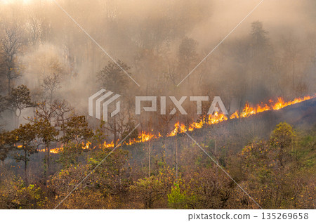 Wildfires release carbon dioxide (CO2) emissions and other greenhouse gases (GHG) that contribute to climate change. Wildfires release carbon dioxide (CO2) emissions and other greenhouse gases (GHG) that contribute to climate change. 135269658