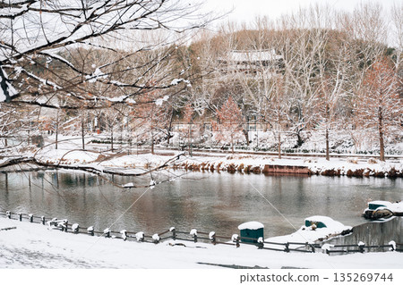 Winter Scenery of Gwanbangjerim Forest and River in Damyang, Korea Winter Scenery of Gwanbangjerim Forest and River in Damyang, Korea 135269744