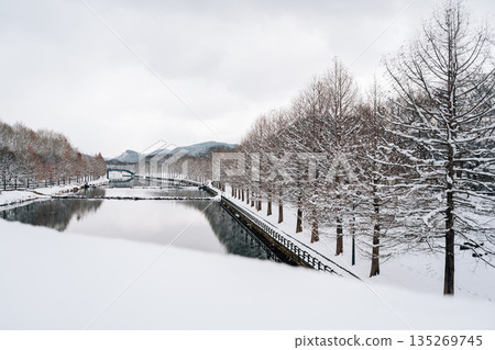 Winter Scenery of Gwanbangjerim Forest and River in Damyang, Korea Winter Scenery of Gwanbangjerim Forest and River in Damyang, Korea 135269745