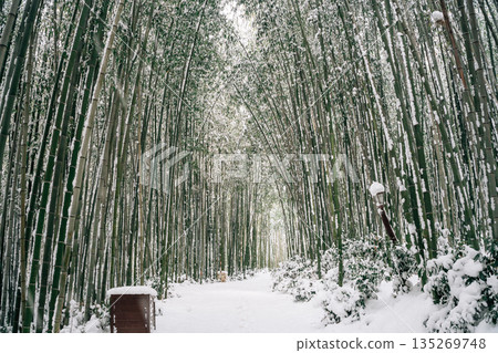 Winter Scenery of Juknokwon Bamboo Forest in Damyang, Korea Winter Scenery of Juknokwon Bamboo Forest in Damyang, Korea 135269748