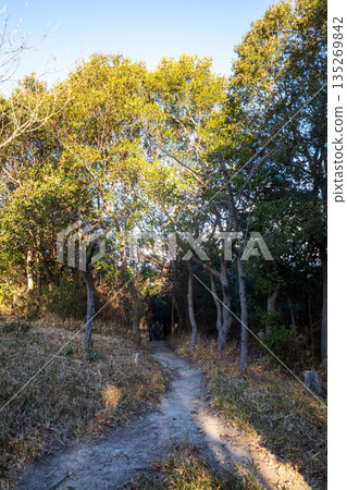 Beautiful view of Mount Otakadai in Ako city, Hyogo prefecture, Japan 135269842