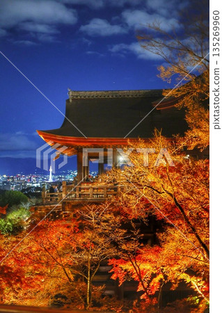 清水寺秋葉照亮 135269960