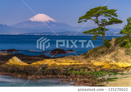 《Kanagawa Prefecture》 Mt. Fuji and the coastline / Tateishi Park 135270022