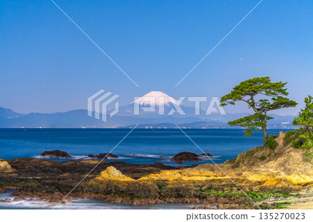 《Kanagawa Prefecture》 Mt. Fuji and the coastline / Tateishi Park 135270023