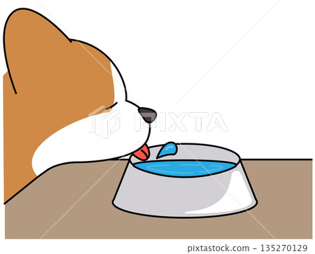 Illustration of a Corgi drinking water from a container (hydration) Illustration of a Corgi drinking water from a container (hydration) 135270129