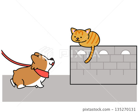 圖:一隻好奇的柯基犬在散步時發現柵欄上有一隻貓。 圖:一隻好奇的柯基犬在散步時發現柵欄上有一隻貓。 135270131