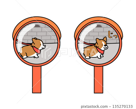 圖:一隻柯基犬在散步時好奇地看著凸面鏡裡的自己 圖:一隻柯基犬在散步時好奇地看著凸面鏡裡的自己 135270133